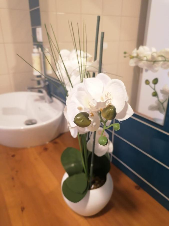 Apartamento Graciosa - Sta Catarina Place Ponta Delgada  Ngoại thất bức ảnh